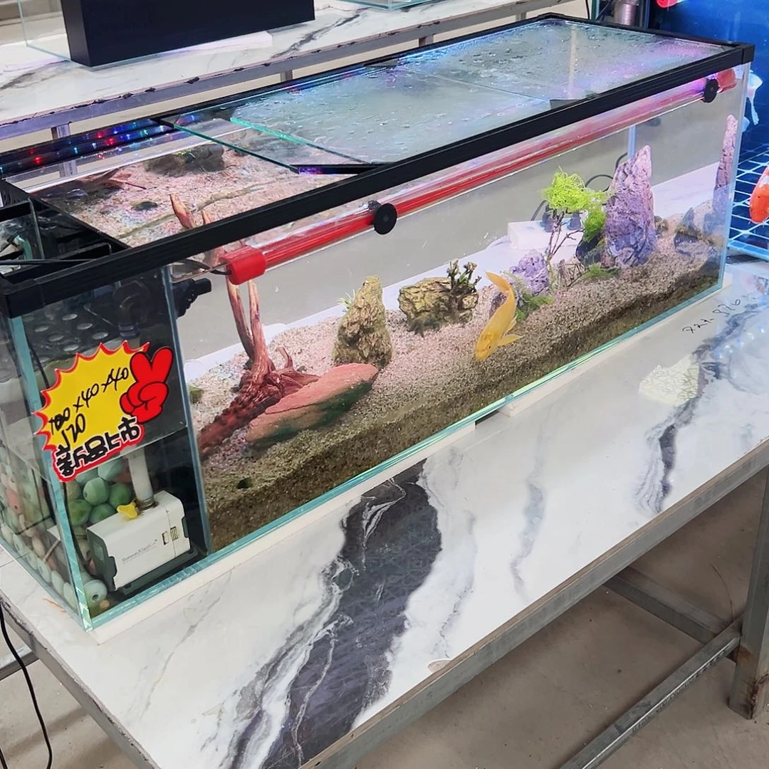 孔***兄玻璃1.2404 0侧滤鱼马桶玻璃盖全套