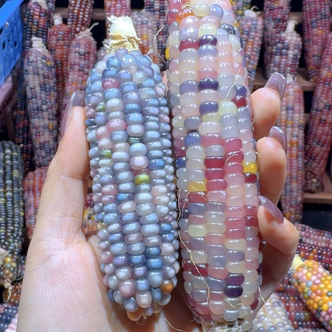 有机玻璃我是我在哪123466799