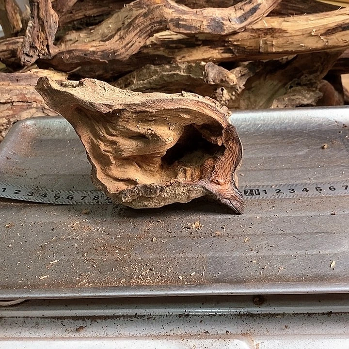 花梨木类平*。海南花梨