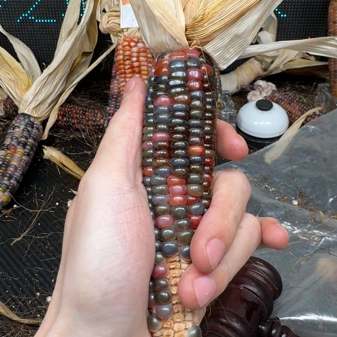 柏香籽/百香籽吊坠M**y