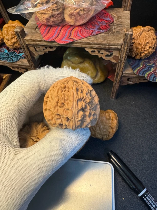 山地老树四座楼狮子头  可直播选货