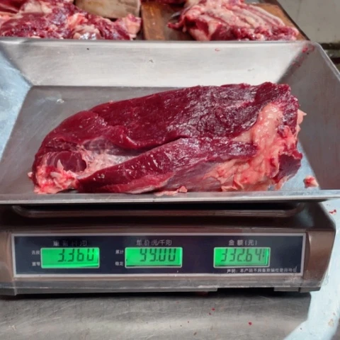 【闪购商品】冷冻保存30天包装河北省