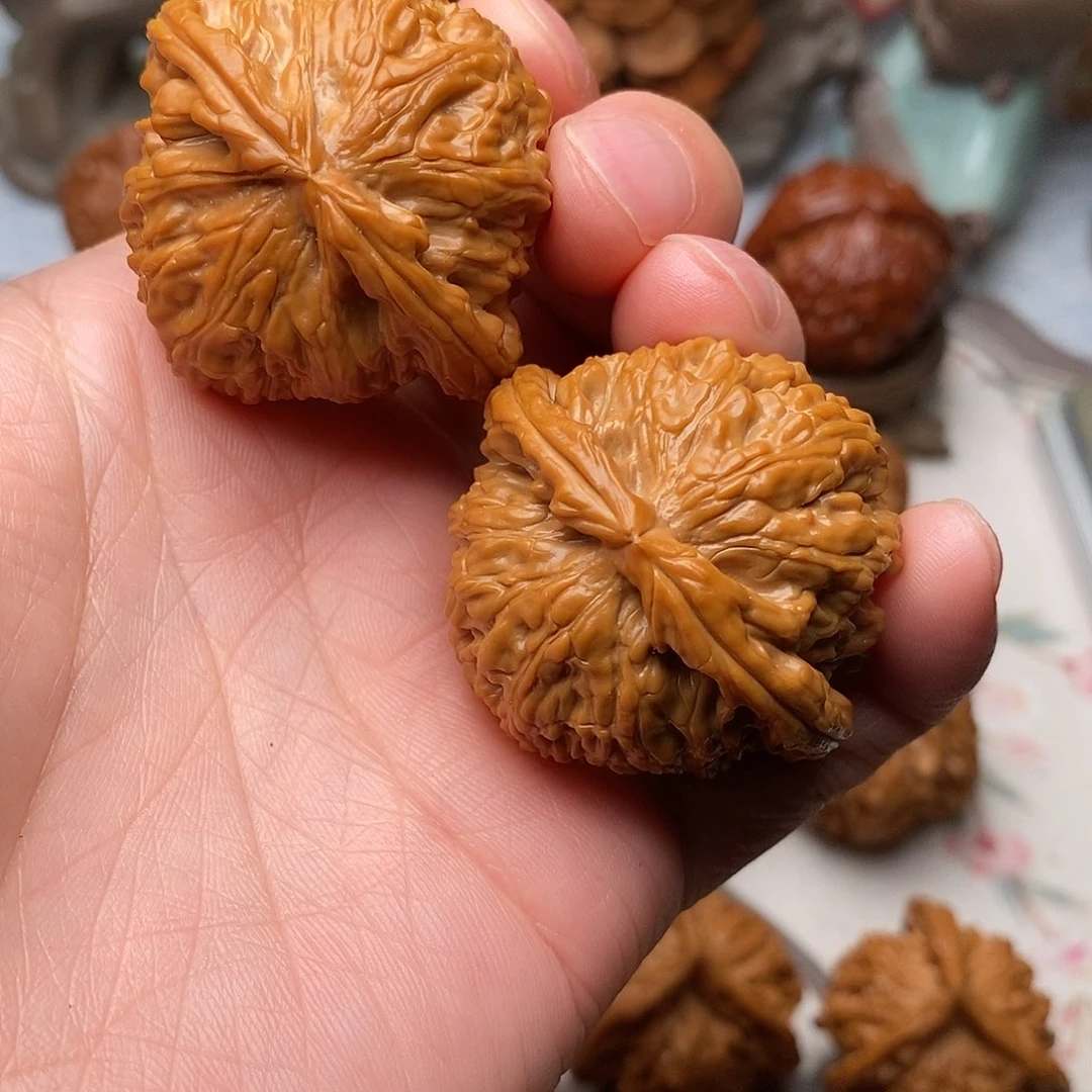 随***风文玩核桃把件白狮子