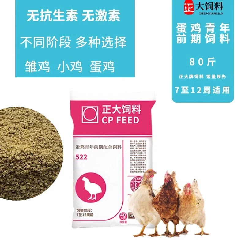 正大522蛋鸡青年前期配合饲料开袋即食营养丰富蛋鸡饲料提高产蛋