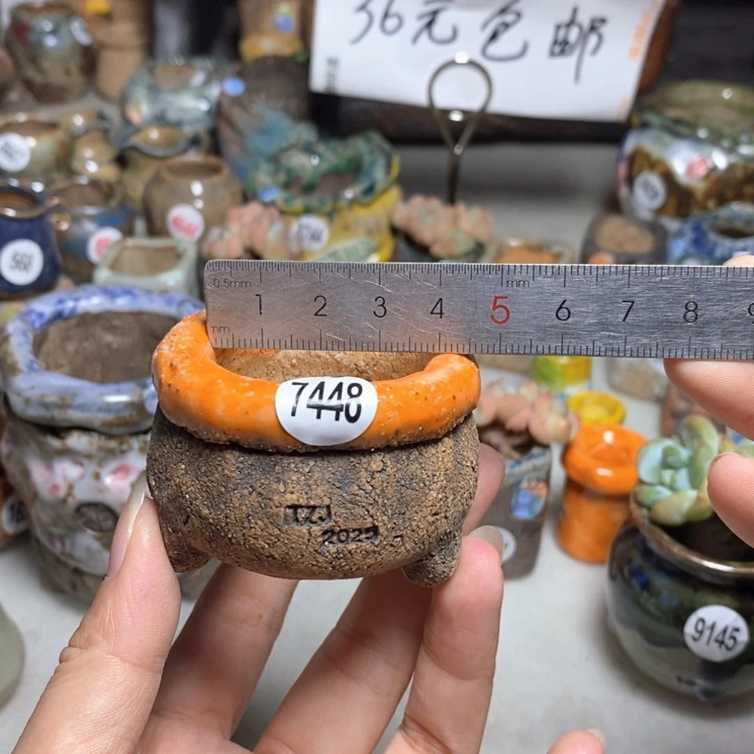 拍3送一个小礼物