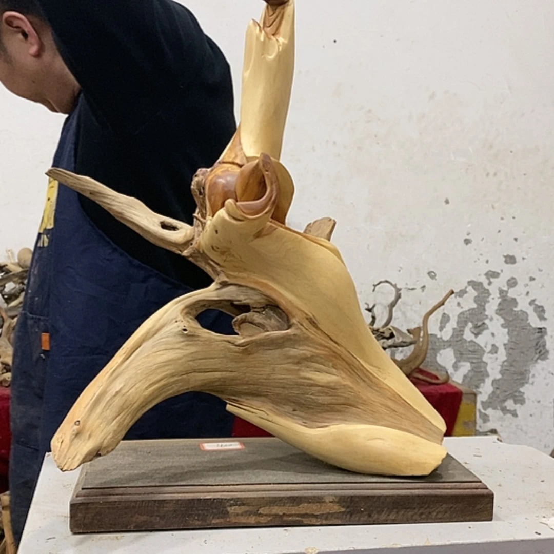 【闪购商品】柏木江****1我们都是好孩子