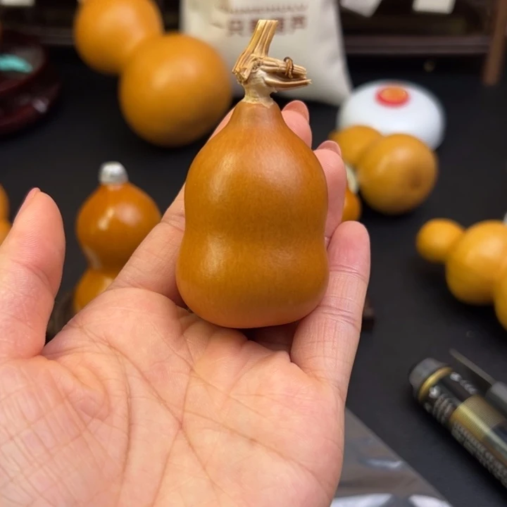 初*葫芦葫芦葫芦葫芦葫芦