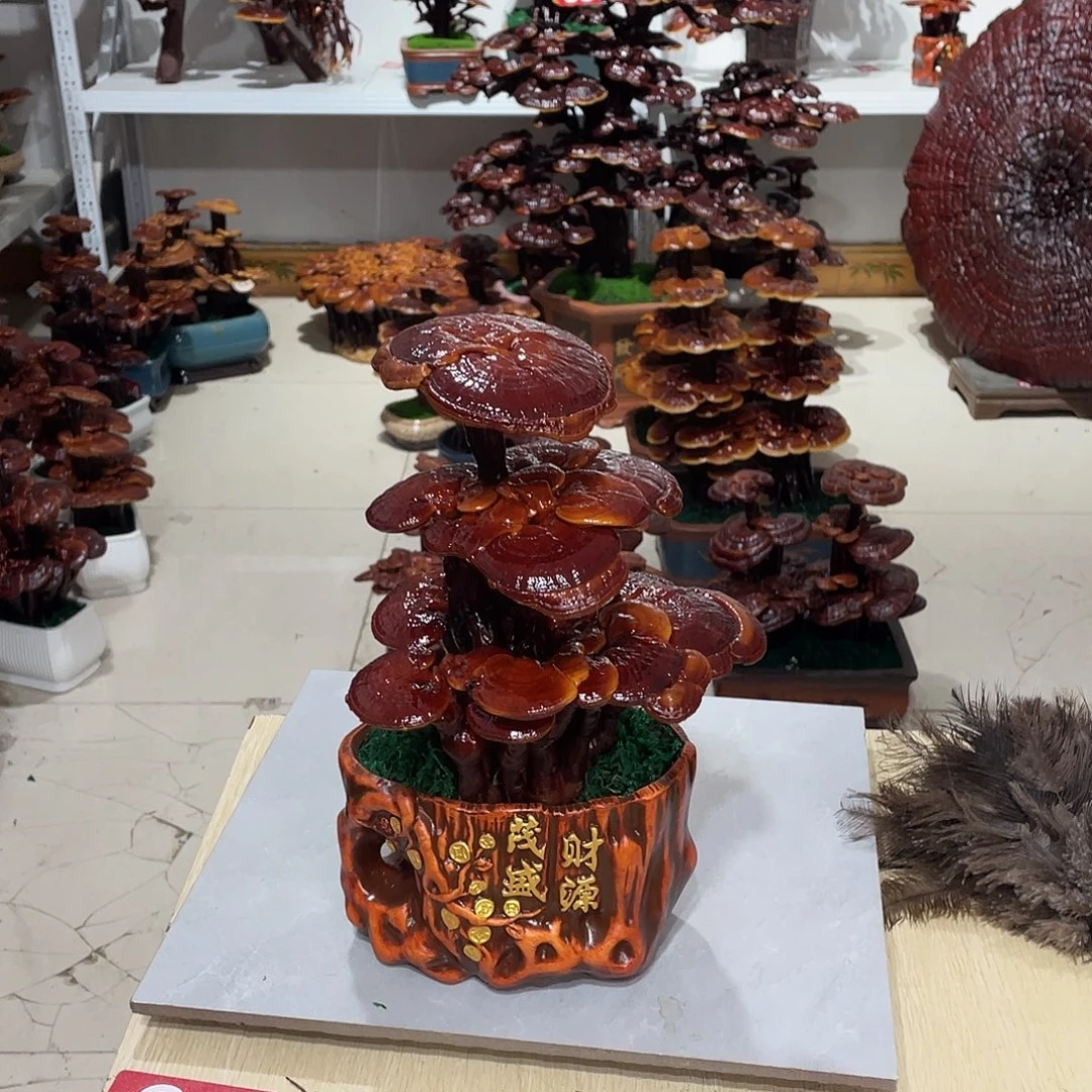 西***烈无花朵88888888888888888