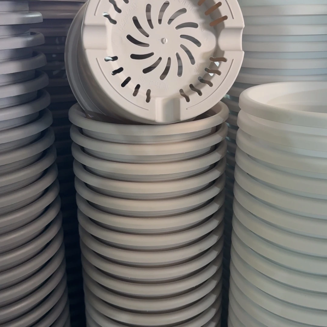 四季6号5个灰白色的
