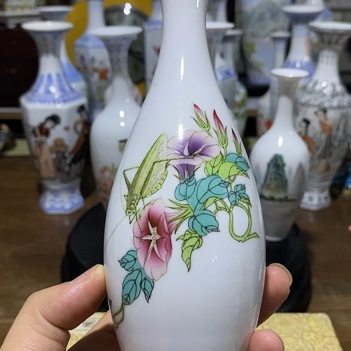 其他花瓶标本一只虫草画面