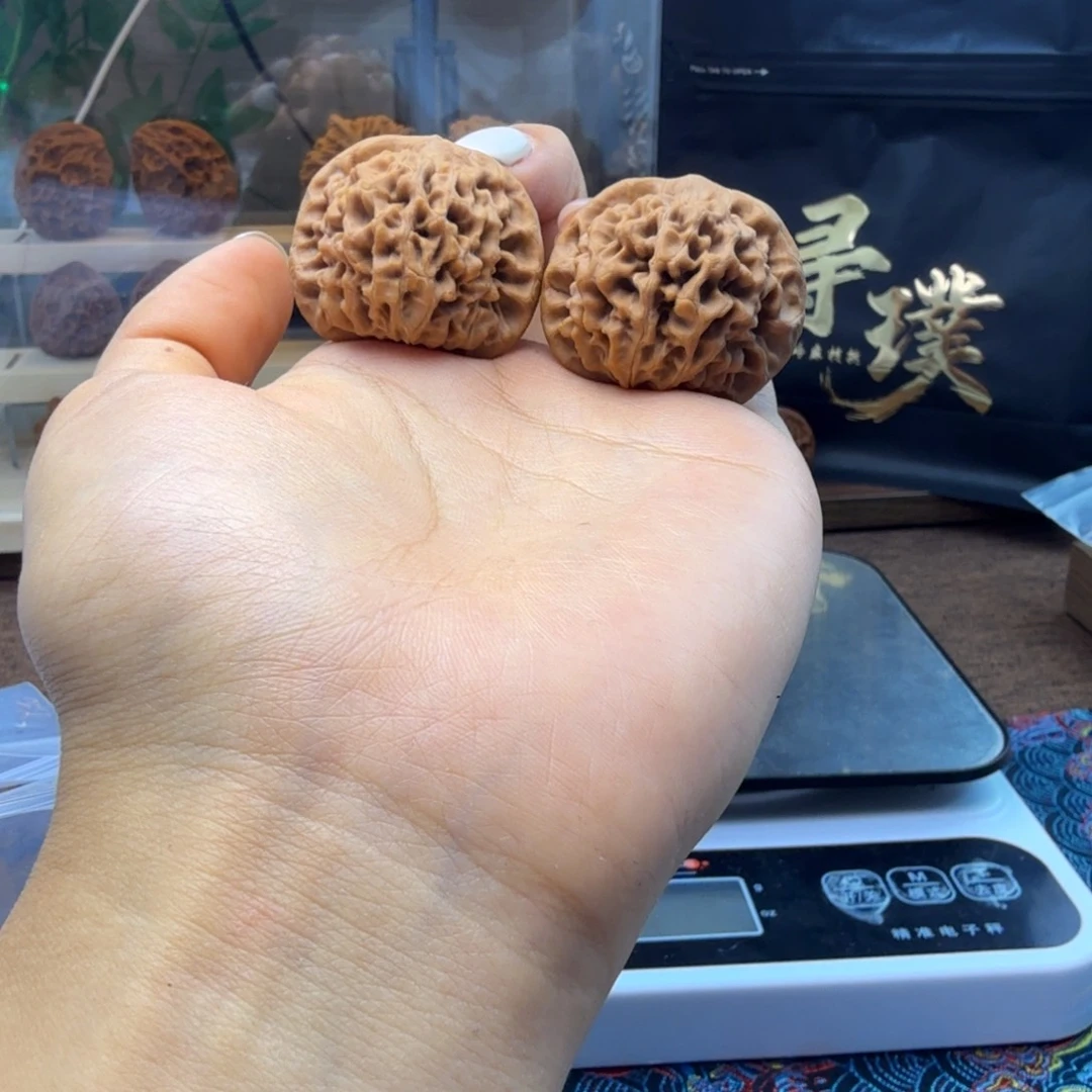 核桃秦岭闷尖狮子头-551