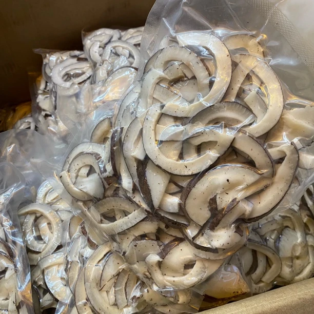 冬菇仔海味椰皇干货切片汤料椰子肉