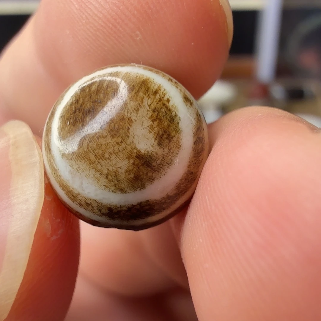 古珠直发专用链接