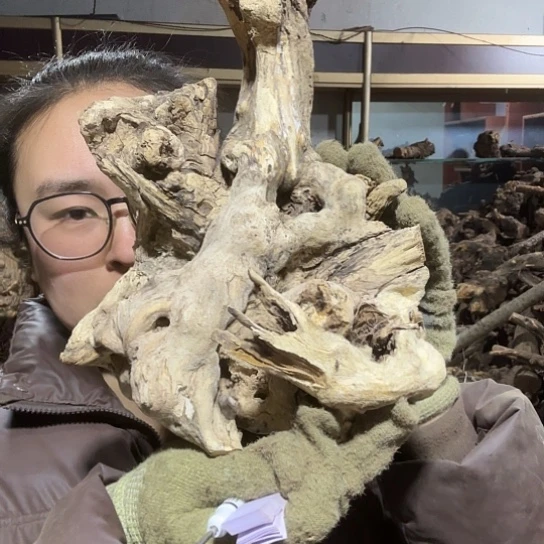 香榧木顺火琉璃的故事是毛料摆件