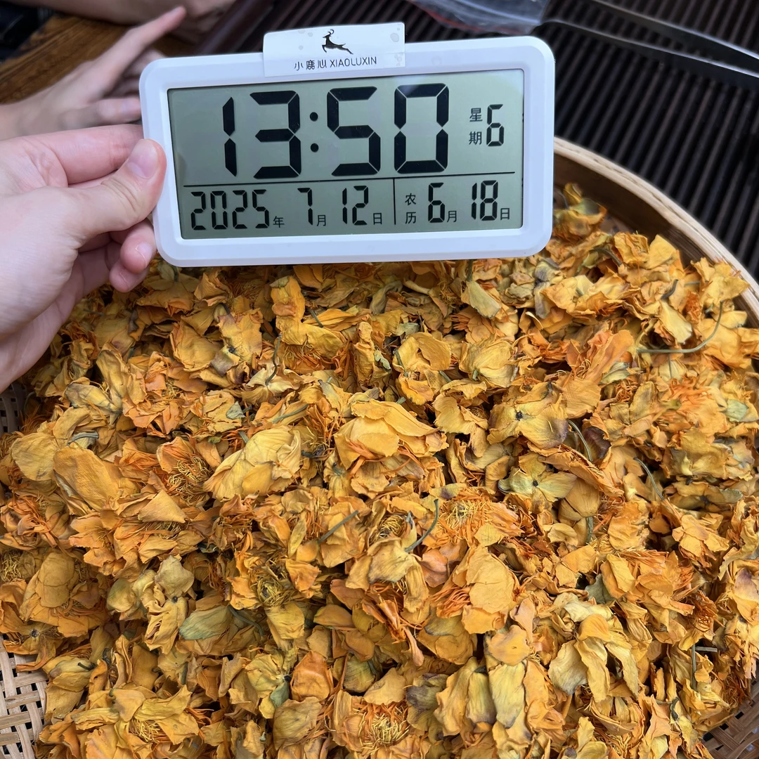 金莲花 小鹿收茶 7月12