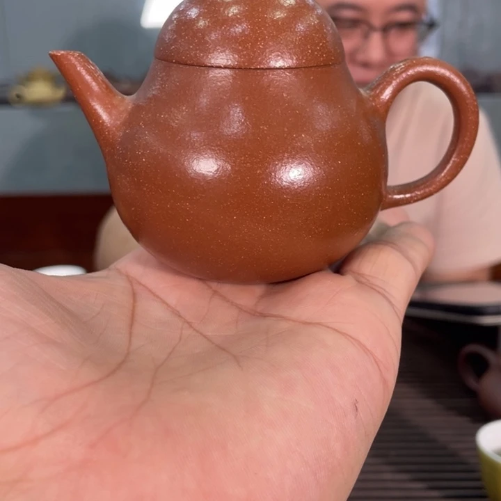茶壶紫砂哈哈哈哈哈这个综艺节目真的是太棒啦