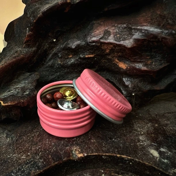 财续母-与实务略有不符介意勿拍