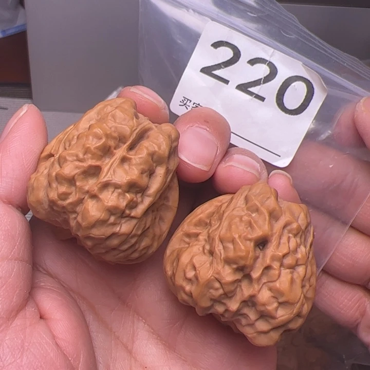 核桃37边42肚220号三角箭毒蛙