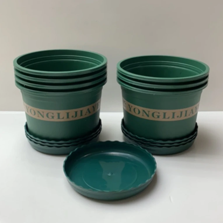 7个装  200型加仑平底矮款花盆（外口径19  高13左右）