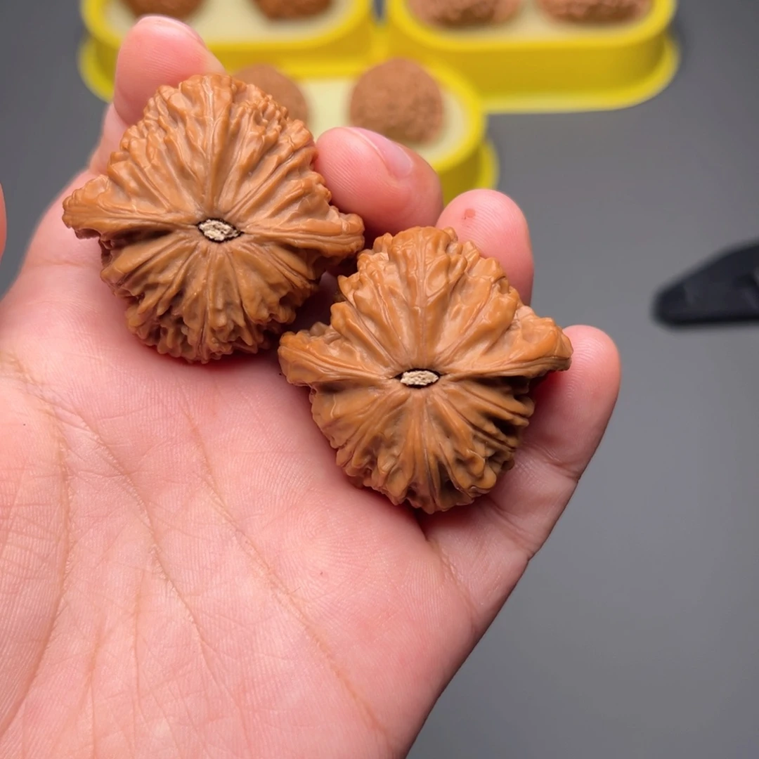 核桃40尺磨盘狮子头
