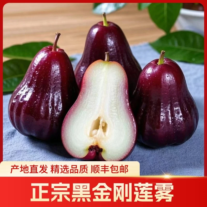 福建黑金刚海南莲雾新鲜多汁脆甜饱满清香果香当季水果顺丰包邮