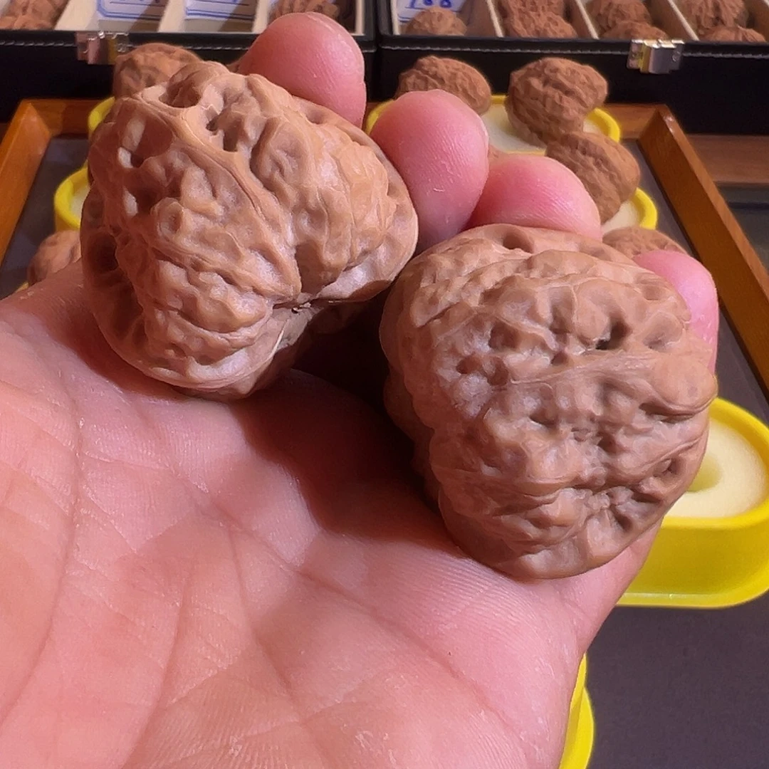 核桃蛤膜头全品精品