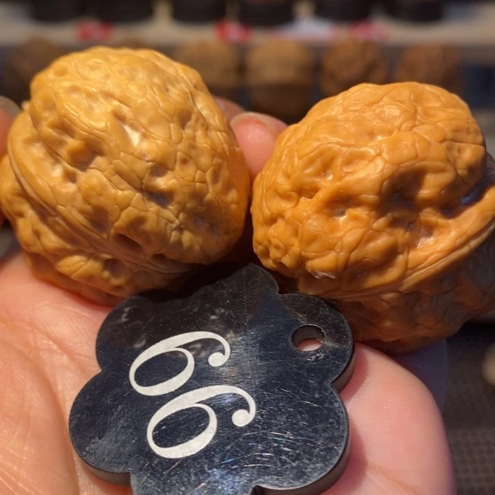 11号链接赤脚飞蟾35尺寸