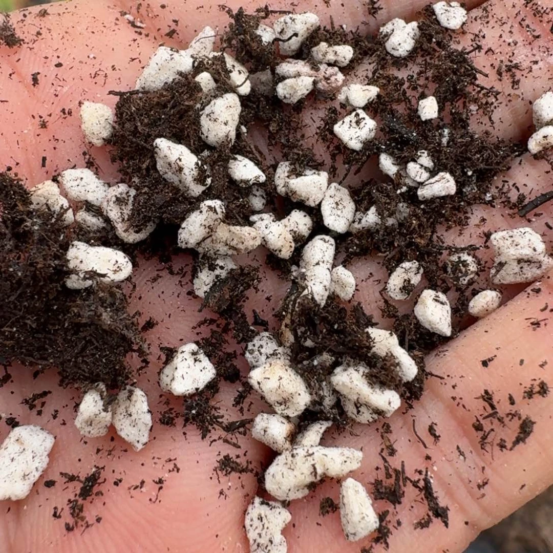 带珍珠盐的土10l量拍