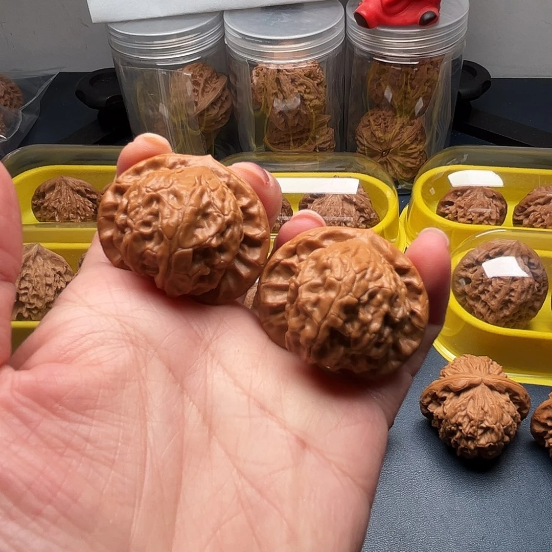 多***鱼核桃37尺寸大耳朵图图