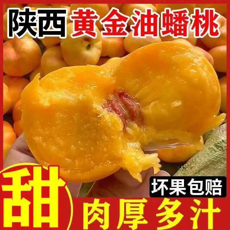 【纯甜爆汁】陕西黄金彩虹油蟠桃新鲜应季现摘现发甜嫩多汁应季水果