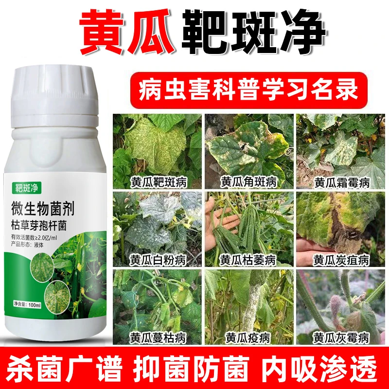 黄瓜病菌清黄瓜斑点黄叶褐斑叶枯炭疽靶斑灰霉微生物菌剂叶面肥