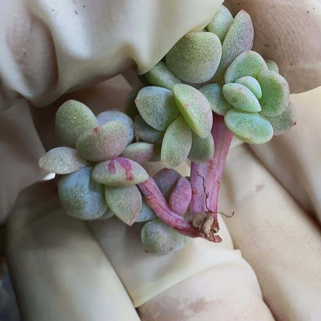 勾***红哈哈哈哈哈哈哈哈哈哈哈