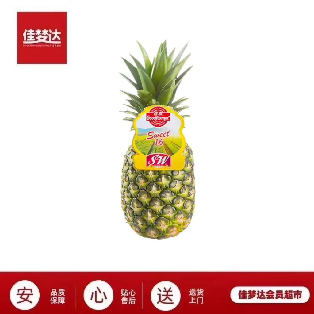 佳农凤梨 约1.5kg