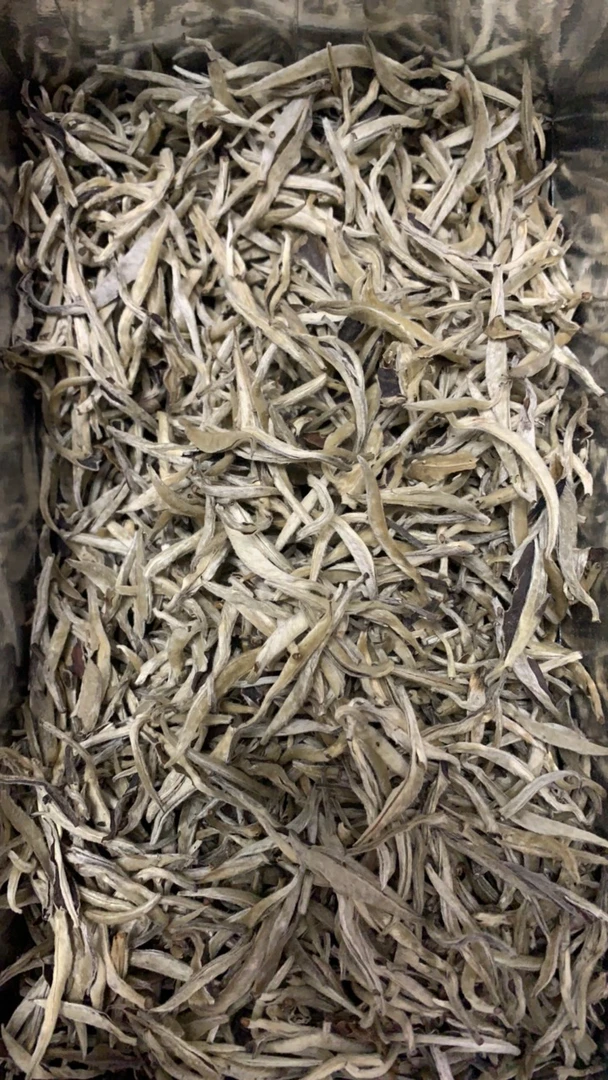 云南白茶白毫银针500克一斤装实木礼盒2024年