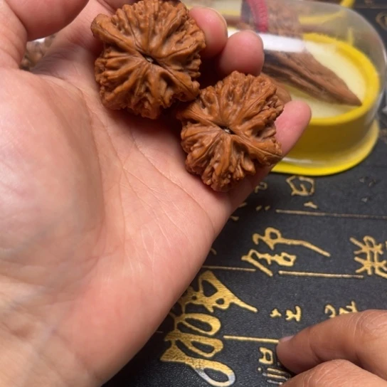 36尺野生小众已经打底