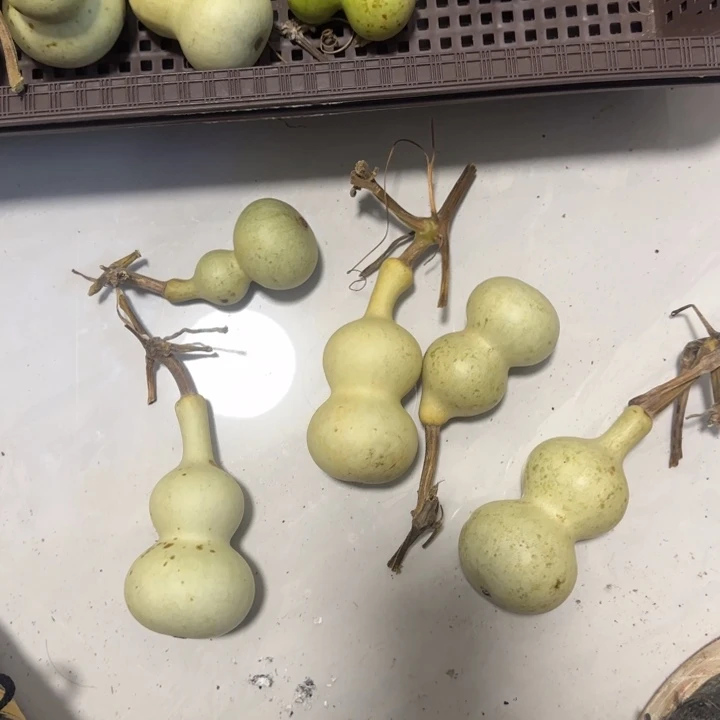 明****感谢大哥支持兄弟，不保成