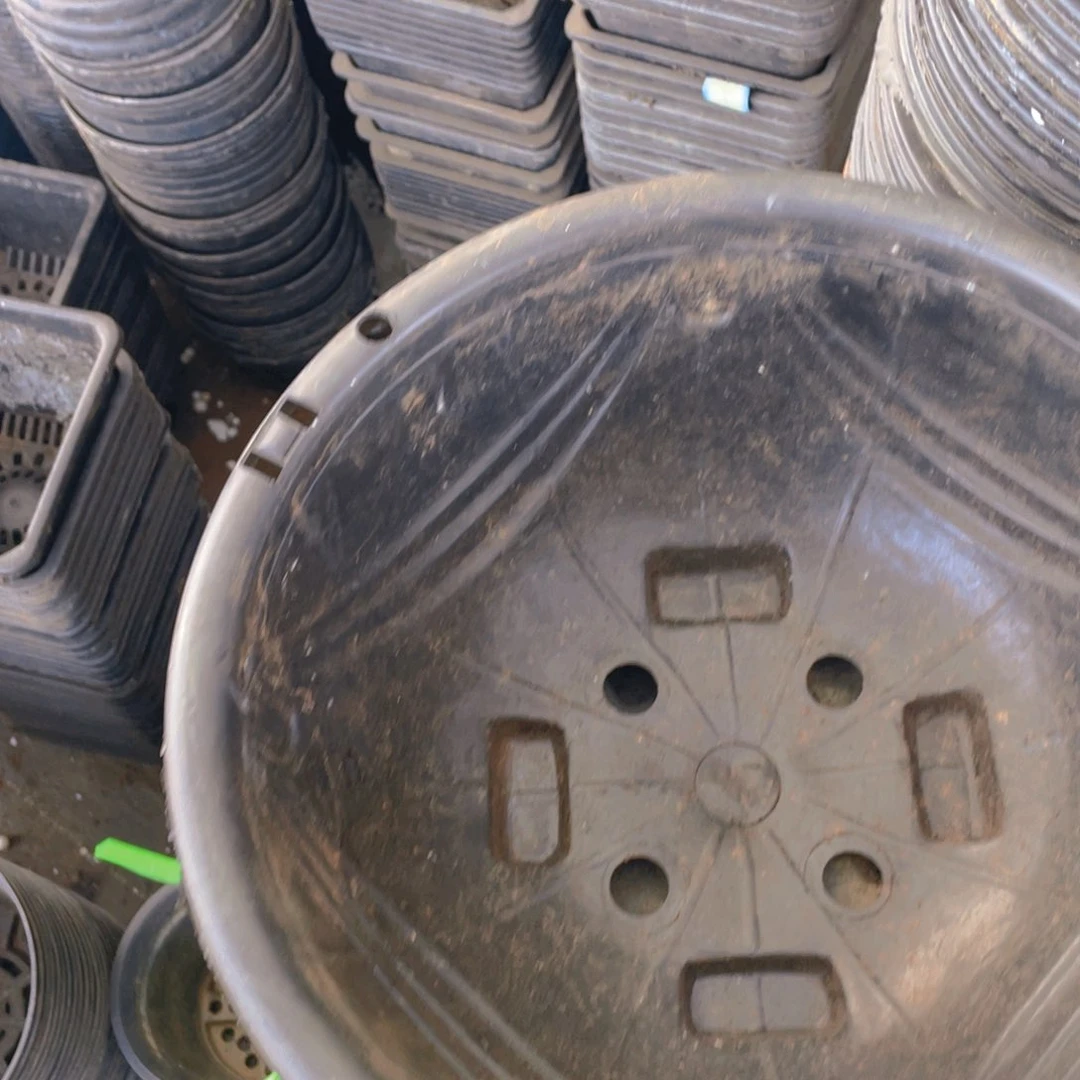 塑料旧280黑吊兰盆10个