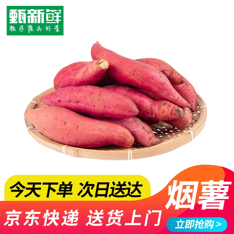 ⑤红番薯红薯500g±10g京东包邮次日达新鲜烟薯25号山东省