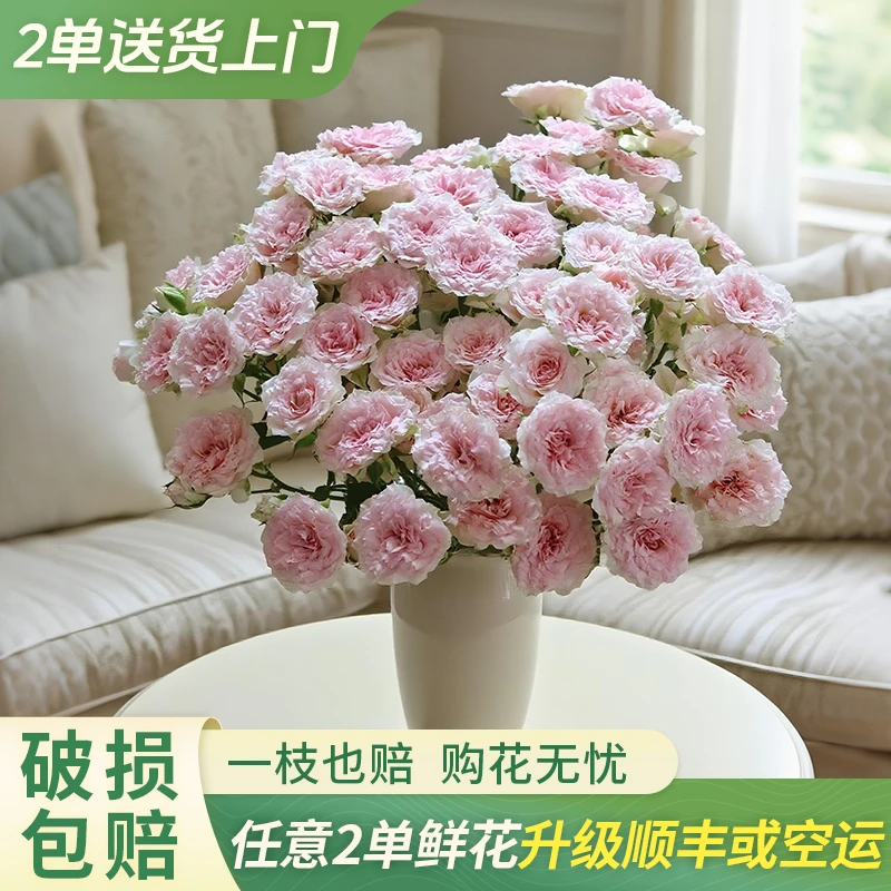 【大聪明卖花】情迷罗拉多头玫瑰云南直发鲜花家居水养鲜花花束客厅