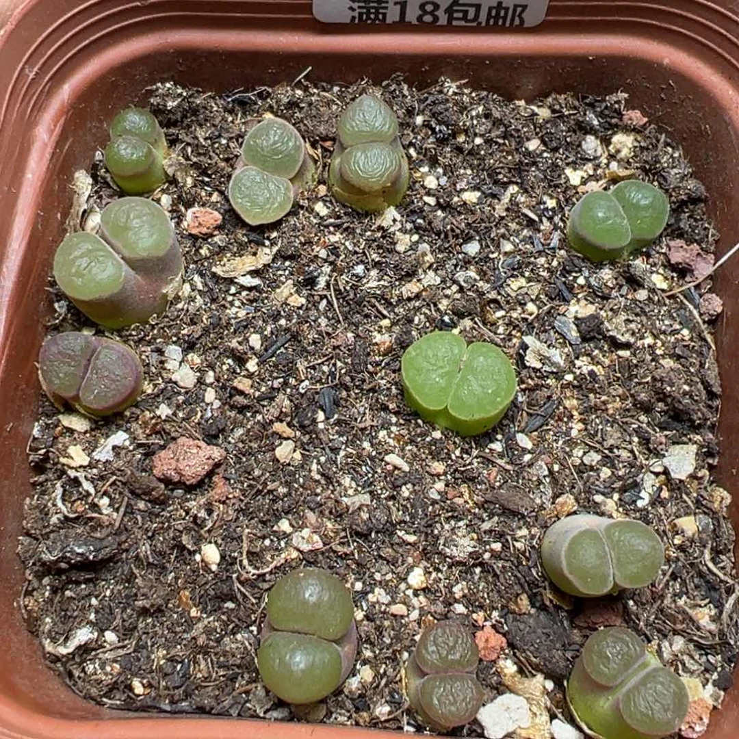 【闪购商品】 345。