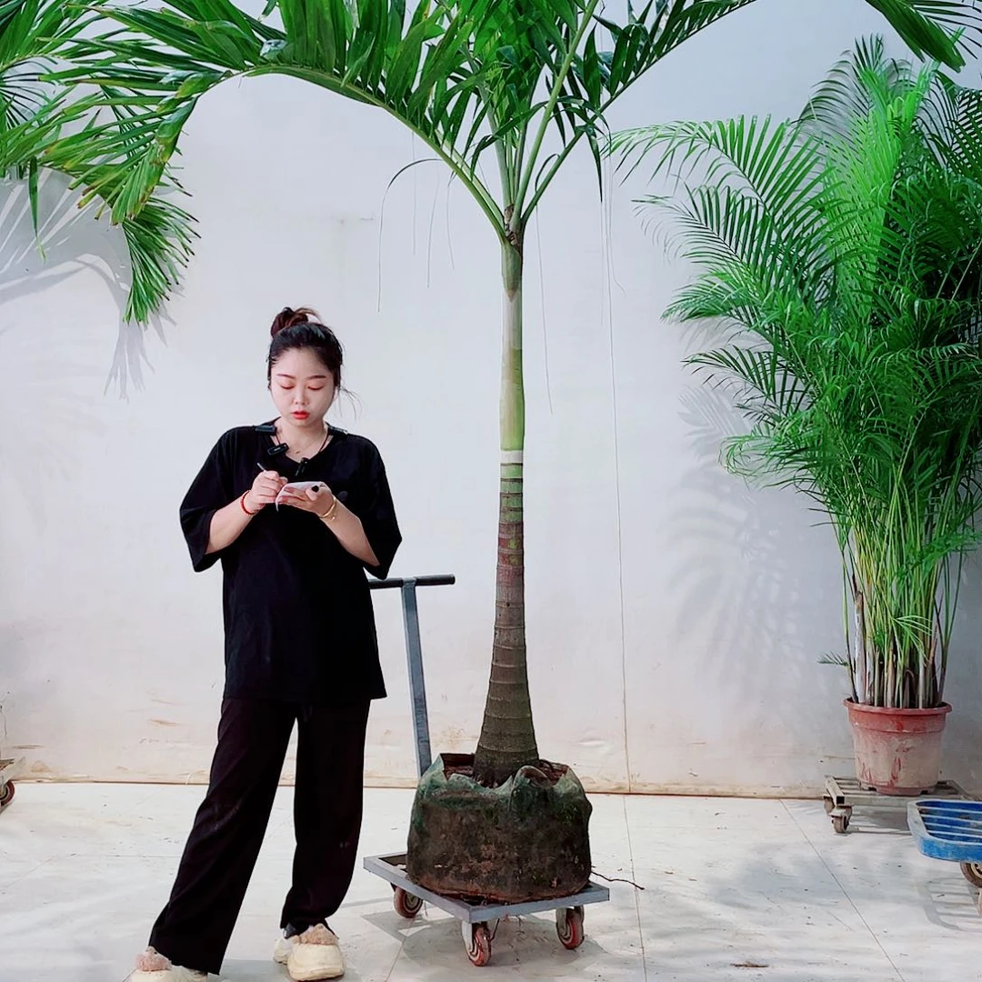 完全开放蒋****村356788999“35688990