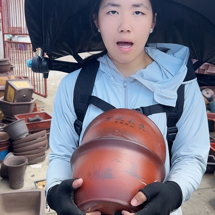 25+25紫气东来花盆花盆花盆