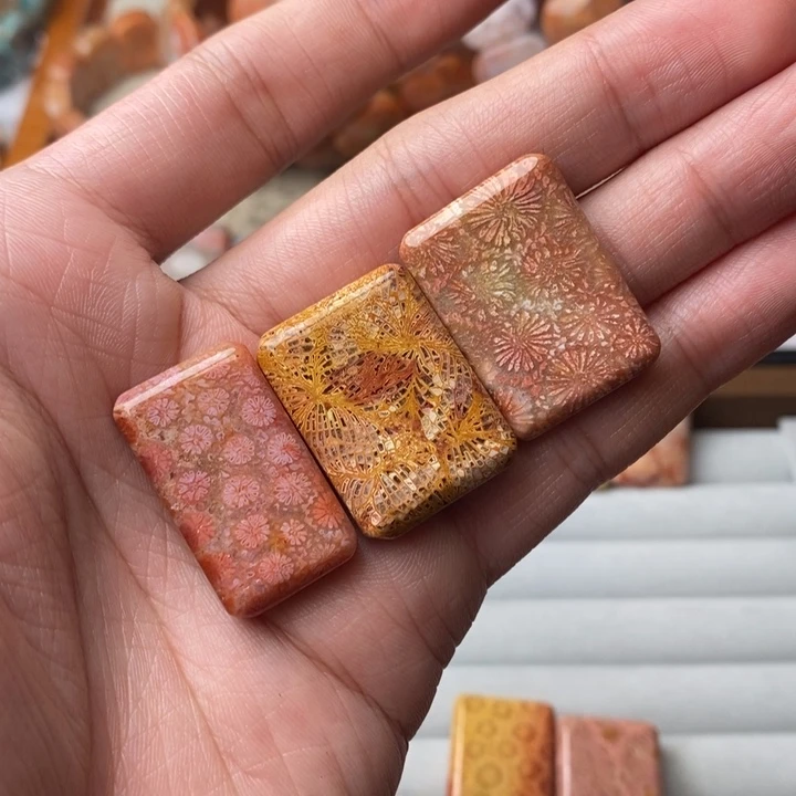 一***顾未镶嵌珊瑚玉硅化玉