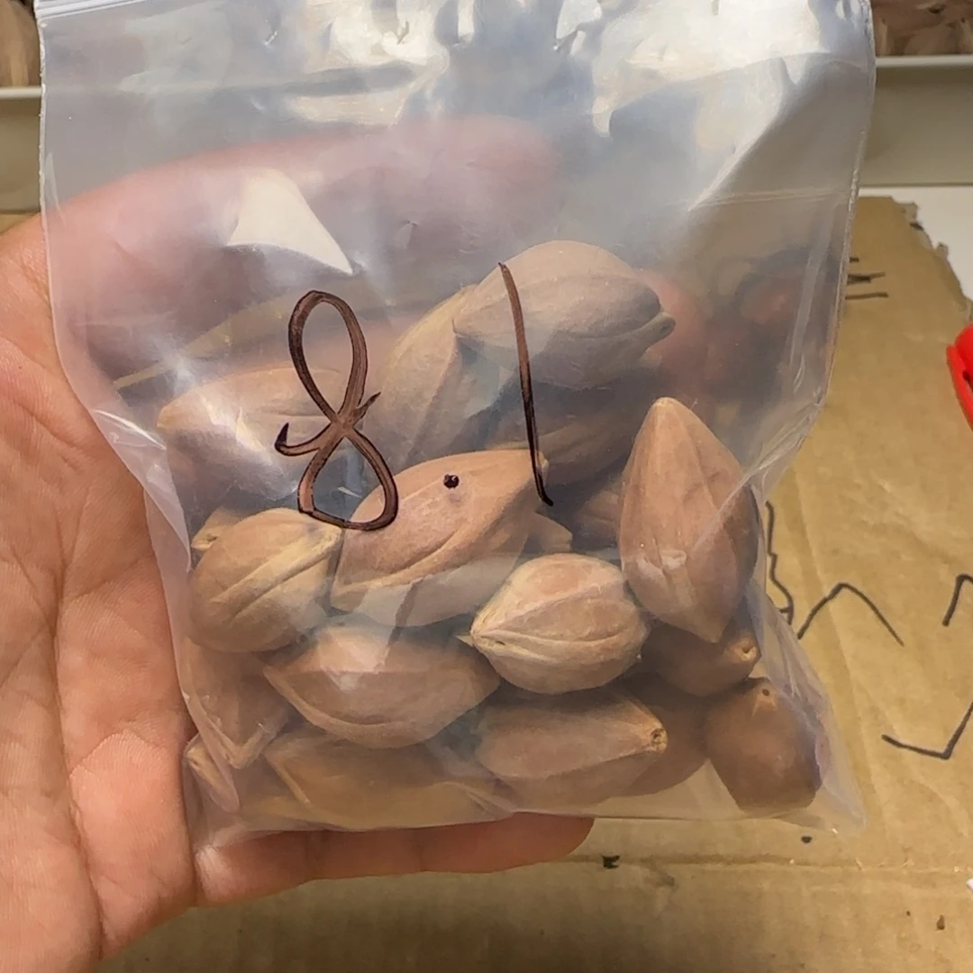 【闪购商品】橄榄核手串/手链11111111