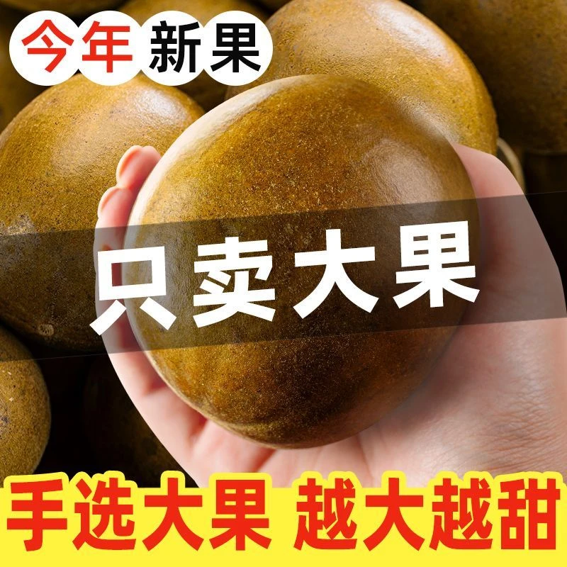 啊硕滋补店  广西桂林罗汉果干果可搭配胖大海泡水