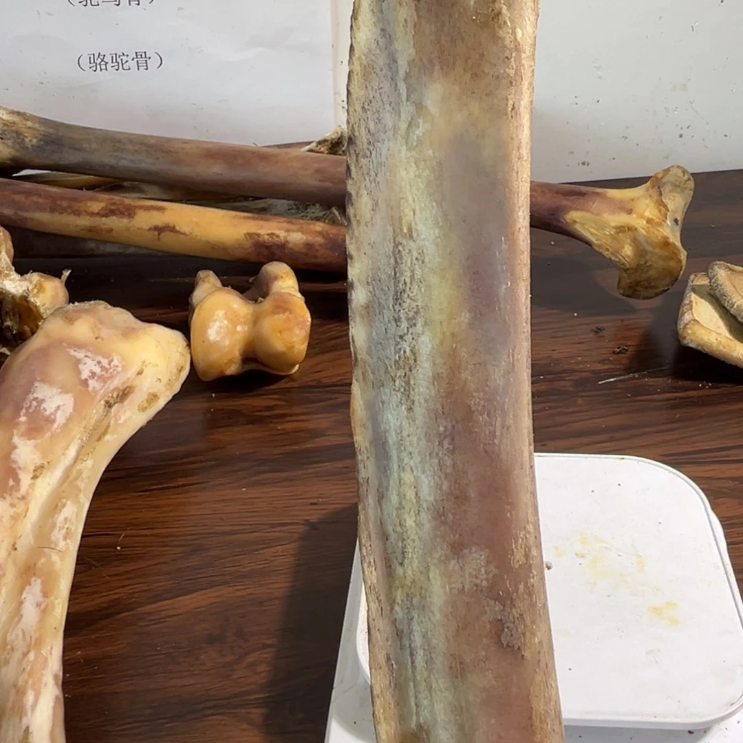 hhhu肋骨肋骨肋骨肋骨