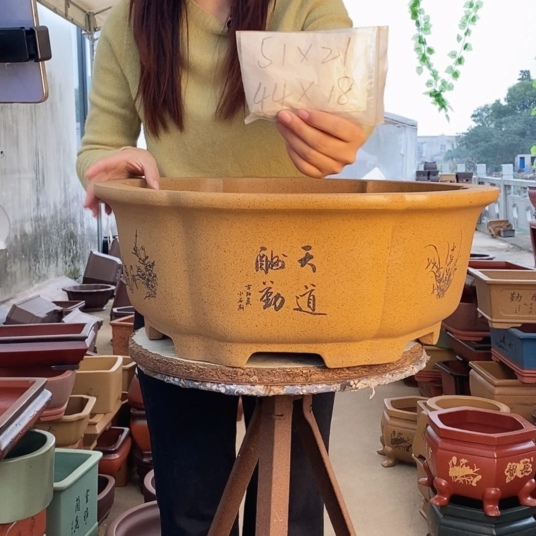 紫砂花盆紫砂花盆