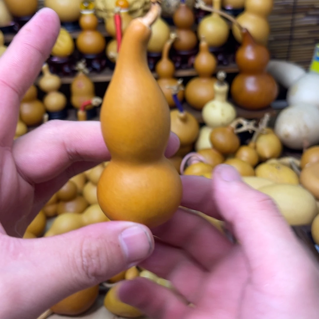 柳叶腰本捻厚皮响籽4