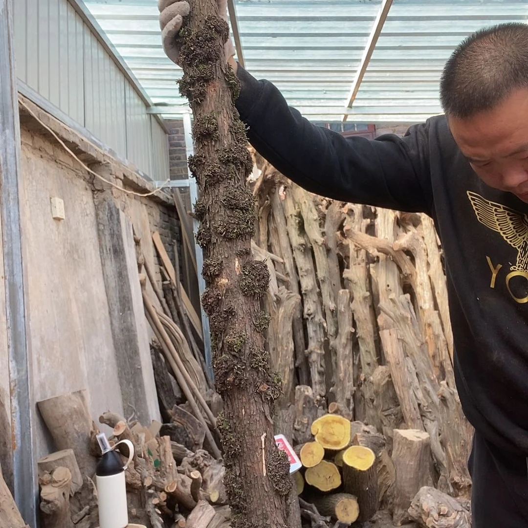 風太行的太行太行