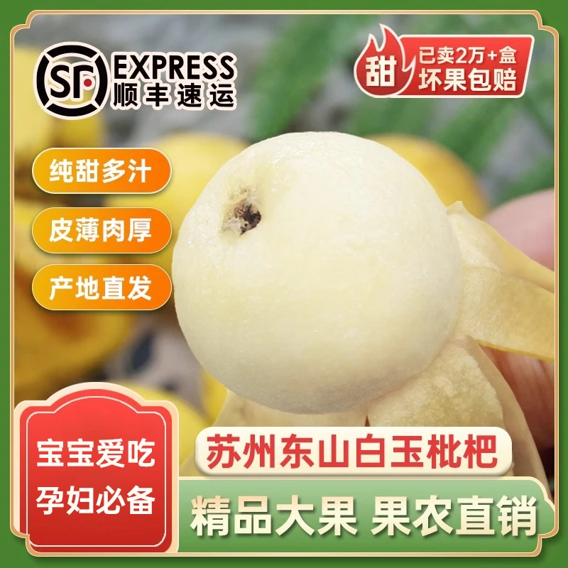 果园直发苏州东山白玉枇杷新鲜水果孕妇白枇杷礼盒顺丰